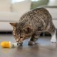 Petstages Lil' Avocato - Cat Toy - Dental Care - Avocado - Catnip - Green - One Size