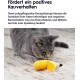 Petstages Lil' Avocato - Cat Toy - Dental Care - Avocado - Catnip - Green - One Size