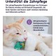 Petstages Lil' Avocato - Cat Toy - Dental Care - Avocado - Catnip - Green - One Size