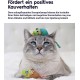 Petstages Lil' Avocato - Cat Toy - Dental Care - Avocado - Catnip - Green - One Size