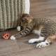 Petstages Lil' Avocato - Cat Toy - Dental Care - Avocado - Catnip - Green - One Size