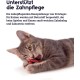 Petstages Lil' Avocato - Cat Toy - Dental Care - Avocado - Catnip - Green - One Size