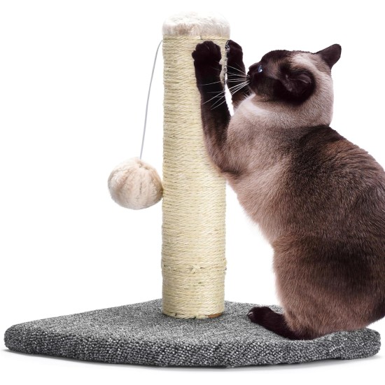 Pfotenolymp Cat Scratching Post - Interactive Cat Scratching Post for House Cats - Cat Toy Scratching Post, Cat Nail Scratcher with Toy Ball - Cat Play Station - Scratching Post for Interaction Pfotenolymp Cat Scratching Post - Interactive Cat Scratching Post for House Cats - Cat Toy Scratching Post, Cat Nail Scratcher with Toy Ball - Cat Play Station - Scratching Post for Interaction
