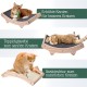 Pfotenolymp Cat Scratching Post - Interactive Cat Scratching Post for House Cats - Cat Toy Scratching Post, Cat Nail Scratcher with Toy Ball - Cat Play Station - Scratching Post for Interaction Pfotenolymp Cat Scratching Post - Interactive Cat Scratching Post for House Cats - Cat Toy Scratching Post, Cat Nail Scratcher with Toy Ball - Cat Play Station - Scratching Post for Interaction