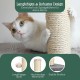 Pfotenolymp Cat Scratching Post - Interactive Cat Scratching Post for House Cats - Cat Toy Scratching Post, Cat Nail Scratcher with Toy Ball - Cat Play Station - Scratching Post for Interaction Pfotenolymp Cat Scratching Post - Interactive Cat Scratching Post for House Cats - Cat Toy Scratching Post, Cat Nail Scratcher with Toy Ball - Cat Play Station - Scratching Post for Interaction