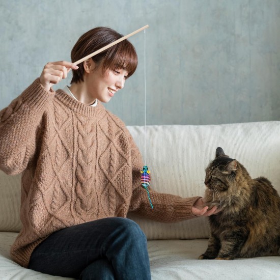 Relaxdays Cat Fishing Rod with Mouse, Set of 5, Interactive Cat Toy, 106 cm Long, Activity Cats & Kittens, Colourful Relaxdays Cat Fishing Rod with Mouse, Set of 5, Interactive Cat Toy, 106 cm Long, Activity Cats & Kittens, Colourful