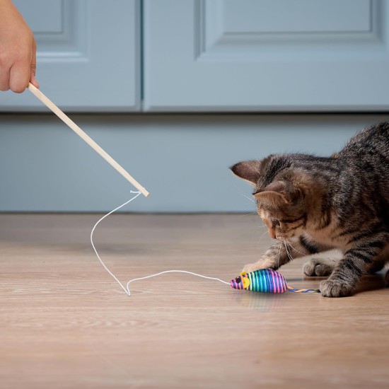 Relaxdays Cat Fishing Rod with Mouse, Set of 5, Interactive Cat Toy, 106 cm Long, Activity Cats & Kittens, Colourful Relaxdays Cat Fishing Rod with Mouse, Set of 5, Interactive Cat Toy, 106 cm Long, Activity Cats & Kittens, Colourful