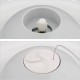 Relaxdays Cat Toy Butterfly and Ball, H x D: 33.5 x 22 cm, Interactive Cat Carousel, Cat Round 360°, White Relaxdays Cat Toy Butterfly and Ball, H x D: 33.5 x 22 cm, Interactive Cat Carousel, Cat Round 360°, White