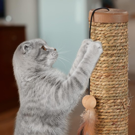 Relaxdays Scratching toy, cat board MDF and sisal, H x W x D: 30 x 17 x 30 cm, play wheel, balls and feathers, cat toy, natural Relaxdays Scratching toy, cat board MDF and sisal, H x W x D: 30 x 17 x 30 cm, play wheel, balls and feathers, cat toy, natural