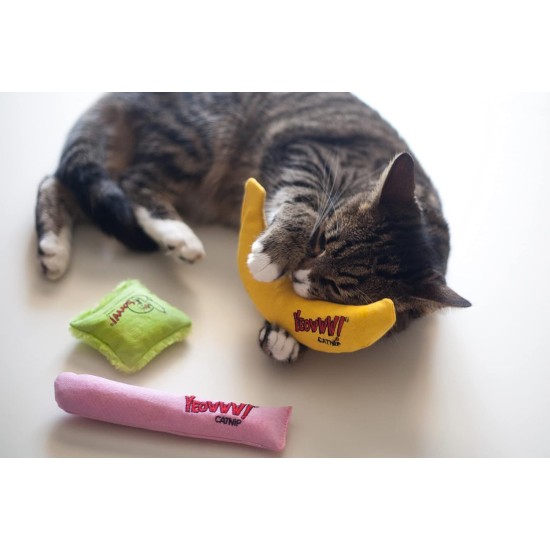 Rosewood 63294 Cat Toy It's a Girl in Cigar Shape, Pink Rosewood 63294 Cat Toy It's a Girl in Cigar Shape, Pink