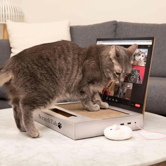 ScratchTab Cat Laptop for Scratching Made of Cardboard | Cat Toy | with Toy Mouse | Interactive Scratching Toy | Scratching Board | Cat Tree Alternative | Cats | Cat | High Quality & Durable ScratchTab Cat Laptop for Scratching Made of Cardboard | Cat Toy | with Toy Mouse | Interactive Scratching Toy | Scratching Board | Cat Tree Alternative | Cats | Cat | High Quality & Durable
