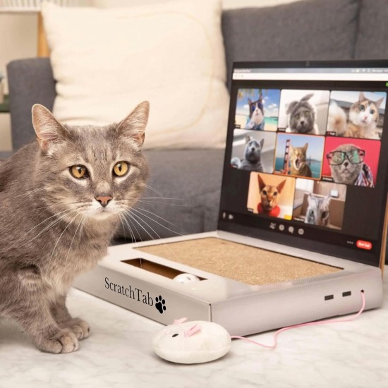 ScratchTab Cat Laptop for Scratching Made of Cardboard | Cat Toy | with Toy Mouse | Interactive Scratching Toy | Scratching Board | Cat Tree Alternative | Cats | Cat | High Quality & Durable ScratchTab Cat Laptop for Scratching Made of Cardboard | Cat Toy | with Toy Mouse | Interactive Scratching Toy | Scratching Board | Cat Tree Alternative | Cats | Cat | High Quality & Durable