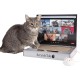 ScratchTab Cat Laptop for Scratching Made of Cardboard | Cat Toy | with Toy Mouse | Interactive Scratching Toy | Scratching Board | Cat Tree Alternative | Cats | Cat | High Quality & Durable ScratchTab Cat Laptop for Scratching Made of Cardboard | Cat Toy | with Toy Mouse | Interactive Scratching Toy | Scratching Board | Cat Tree Alternative | Cats | Cat | High Quality & Durable