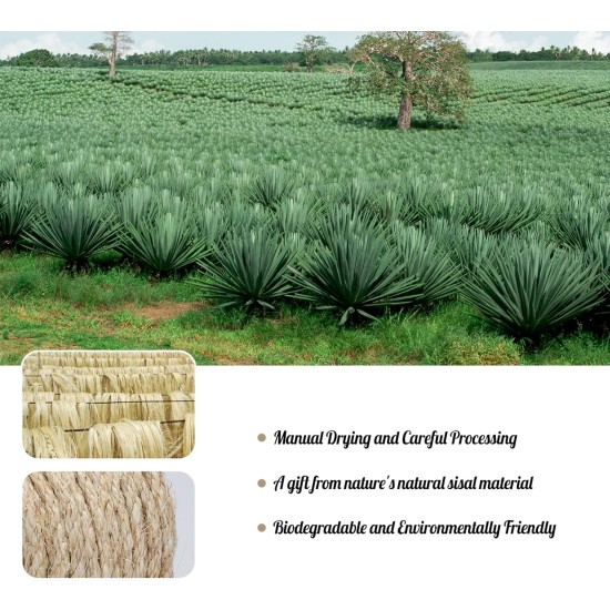 Sisal Rope for Scratching Post, 8 mm x 60 m Natural Sisal Rope for Cats, Cat Rope Sisal Cord for Cat Grinding Claw Toys, Garden Decoration, Crafts, Cat Accessories, DIY Household Decoration Sisal Rope for Scratching Post, 8 mm x 60 m Natural Sisal Rope for Cats, Cat Rope Sisal Cord for Cat Grinding Claw Toys, Garden Decoration, Crafts, Cat Accessories, DIY Household Decoration
