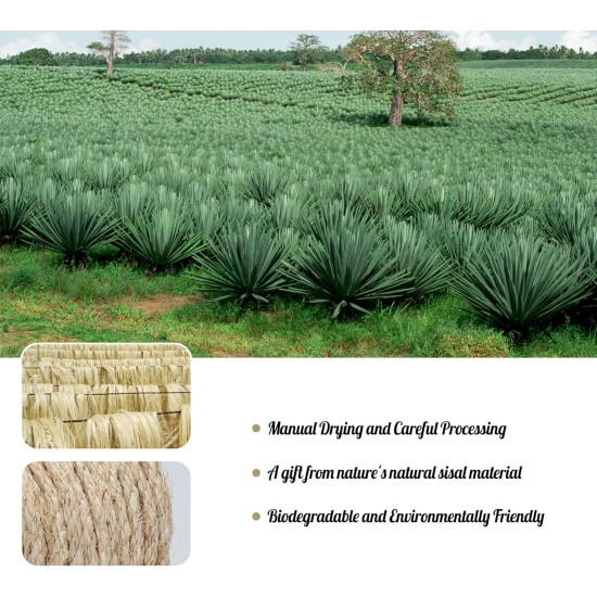 Sisal Rope for Scratching Post, 8 mm x 60 m Natural Sisal Rope for Cats, Cat Rope Sisal Cord for Cat Grinding Claw Toys, Garden Decoration, Crafts, Cat Accessories, DIY Household Decoration Sisal Rope for Scratching Post, 8 mm x 60 m Natural Sisal Rope for Cats, Cat Rope Sisal Cord for Cat Grinding Claw Toys, Garden Decoration, Crafts, Cat Accessories, DIY Household Decoration