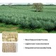 Sisal Rope for Scratching Post, 8 mm x 60 m Natural Sisal Rope for Cats, Cat Rope Sisal Cord for Cat Grinding Claw Toys, Garden Decoration, Crafts, Cat Accessories, DIY Household Decoration Sisal Rope for Scratching Post, 8 mm x 60 m Natural Sisal Rope for Cats, Cat Rope Sisal Cord for Cat Grinding Claw Toys, Garden Decoration, Crafts, Cat Accessories, DIY Household Decoration