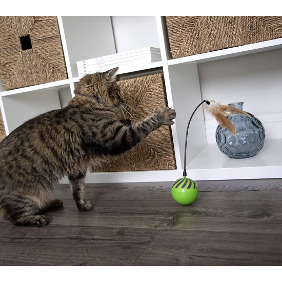 SmartyKat 2 x Electronic Feather Tangle Toy for Cats and Kittens - Includes 2 Extra Wands, Spin, Battery Operated, Fun and Engaging Play, Promotes Training, Green SmartyKat 2 x Electronic Feather Tangle Toy for Cats and Kittens - Includes 2 Extra Wands, Spin, Battery Operated, Fun and Engaging Play, Promotes Training, Green