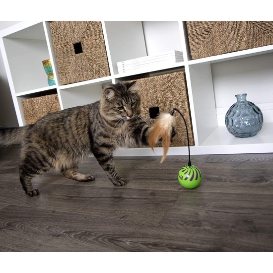 SmartyKat 2 x Electronic Feather Tangle Toy for Cats and Kittens - Includes 2 Extra Wands, Spin, Battery Operated, Fun and Engaging Play, Promotes Training, Green SmartyKat 2 x Electronic Feather Tangle Toy for Cats and Kittens - Includes 2 Extra Wands, Spin, Battery Operated, Fun and Engaging Play, Promotes Training, Green