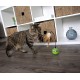 SmartyKat 2 x Electronic Feather Tangle Toy for Cats and Kittens - Includes 2 Extra Wands, Spin, Battery Operated, Fun and Engaging Play, Promotes Training, Green SmartyKat 2 x Electronic Feather Tangle Toy for Cats and Kittens - Includes 2 Extra Wands, Spin, Battery Operated, Fun and Engaging Play, Promotes Training, Green