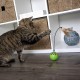 SmartyKat 2 x Electronic Feather Tangle Toy for Cats and Kittens - Includes 2 Extra Wands, Spin, Battery Operated, Fun and Engaging Play, Promotes Training, Green SmartyKat 2 x Electronic Feather Tangle Toy for Cats and Kittens - Includes 2 Extra Wands, Spin, Battery Operated, Fun and Engaging Play, Promotes Training, Green