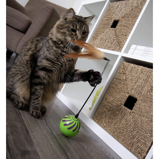 SmartyKat 2 x Electronic Feather Tangle Toy for Cats and Kittens - Includes 2 Extra Wands, Spin, Battery Operated, Fun and Engaging Play, Promotes Training, Green SmartyKat 2 x Electronic Feather Tangle Toy for Cats and Kittens - Includes 2 Extra Wands, Spin, Battery Operated, Fun and Engaging Play, Promotes Training, Green