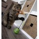 SmartyKat 2 x Electronic Feather Tangle Toy for Cats and Kittens - Includes 2 Extra Wands, Spin, Battery Operated, Fun and Engaging Play, Promotes Training, Green SmartyKat 2 x Electronic Feather Tangle Toy for Cats and Kittens - Includes 2 Extra Wands, Spin, Battery Operated, Fun and Engaging Play, Promotes Training, Green