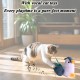 Suhaco Cat Toy for Domestic Cats, Interactive GiGwi Melody Chaser Squeak Kitten Toy Motion Activated Mouse