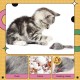 Sunshine smile Pack of 12 Toy Mouse for Cats, Toy Mouse, Toy Mouse with Plush Tail, Toy Mouse Cat Fur Mice Set, Cat Toy for All Cat Breeds Sunshine smile Pack of 12 Toy Mouse for Cats, Toy Mouse, Toy Mouse with Plush Tail, Toy Mouse Cat Fur Mice Set, Cat Toy for All Cat Breeds