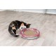 TRIXIE Race & Scratch 41415 Cat Toy with Scratching Cardboard and Play Ball Non-Slip Rubber Feet Ball Screw-On and Can Be Filled with Catnip or Rattle Diameter 37 cm TRIXIE Race & Scratch 41415 Cat Toy with Scratching Cardboard and Play Ball Non-Slip Rubber Feet Ball Screw-On and Can Be Filled with Catnip or Rattle Diameter 37 cm