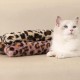 TVSVKWE 5 Stück Katzenspielzeug, Katzenbedarf, Katzenplüschspielzeug, kreatives Katzenspielzeug, Katzenspielzeug für den Innenbereich. TVSVKWE 5 Stück Katzenspielzeug, Katzenbedarf, Katzenplüschspielzeug, kreatives Katzenspielzeug, Katzenspielzeug für den Innenbereich.