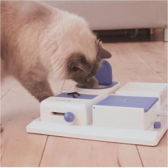 TX-4597 Cat Activity Poker Box 31 x 31 cm TX-4597 Cat Activity Poker Box 31 x 31 cm