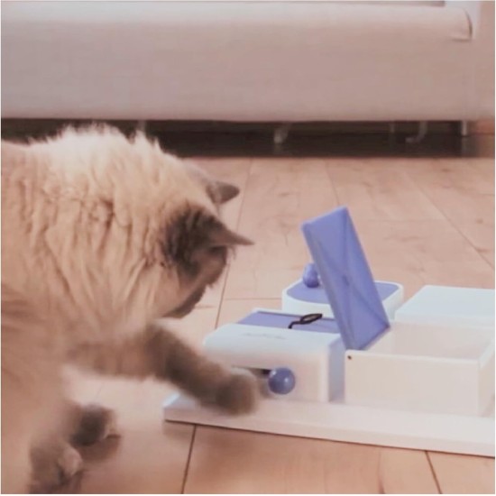 TX-4597 Cat Activity Poker Box 31 x 31 cm TX-4597 Cat Activity Poker Box 31 x 31 cm