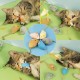 TYXHXTF Pack of 11 Cat Toy, Cat Toy Mouse, Plush Cat Toy Mouse, Catnip Mouse for Cats Kitty, Cat Toy for All Cat Breeds, Cat Toy Kitten (11 Pieces Mix) TYXHXTF Pack of 11 Cat Toy, Cat Toy Mouse, Plush Cat Toy Mouse, Catnip Mouse for Cats Kitty, Cat Toy for All Cat Breeds, Cat Toy Kitten (11 Pieces Mix)