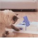 Trixie Cat Activity Cat Activity Fantasy Board Strategy Game, 21X34 cm Trixie Cat Activity Cat Activity Fantasy Board Strategy Game, 21X34 cm