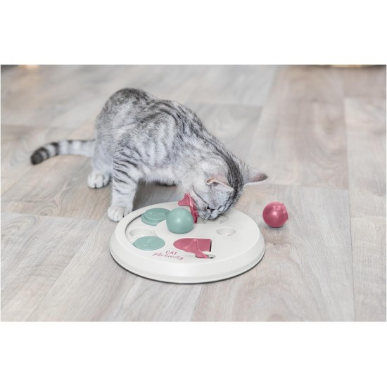 Trixie Cat Activity Flip Board, 1 Count (Pack of 1) Trixie Cat Activity Flip Board, 1 Count (Pack of 1)