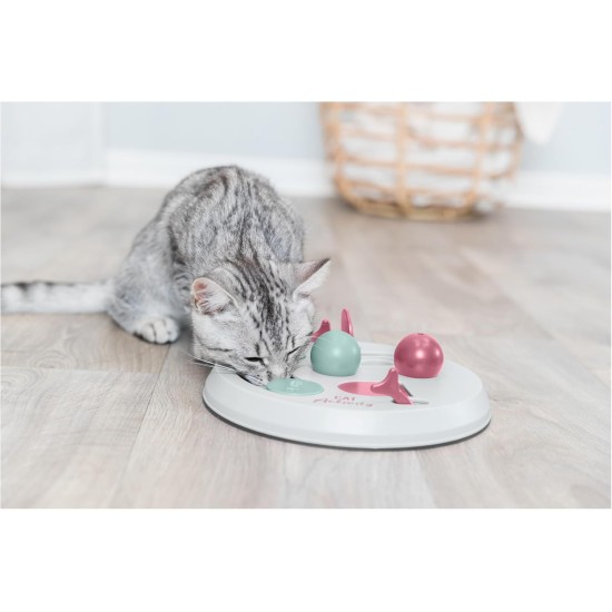 Trixie Cat Activity Flip Board, 1 Count (Pack of 1) Trixie Cat Activity Flip Board, 1 Count (Pack of 1)