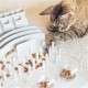 Trixie Cat Activity Fun Board, 30 × 40 cm