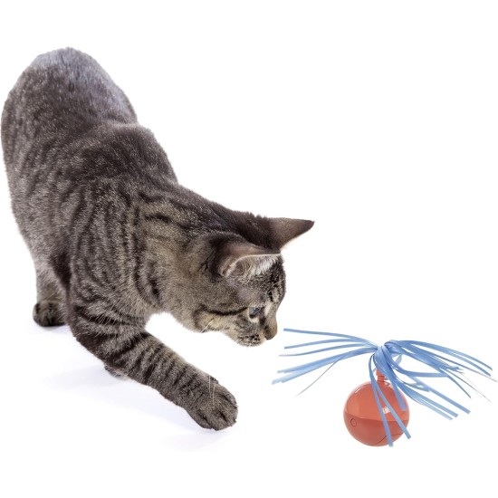 Twirly Top Electronic Motion Cat Toy, Purple/Yellow Twirly Top Electronic Motion Cat Toy, Purple/Yellow