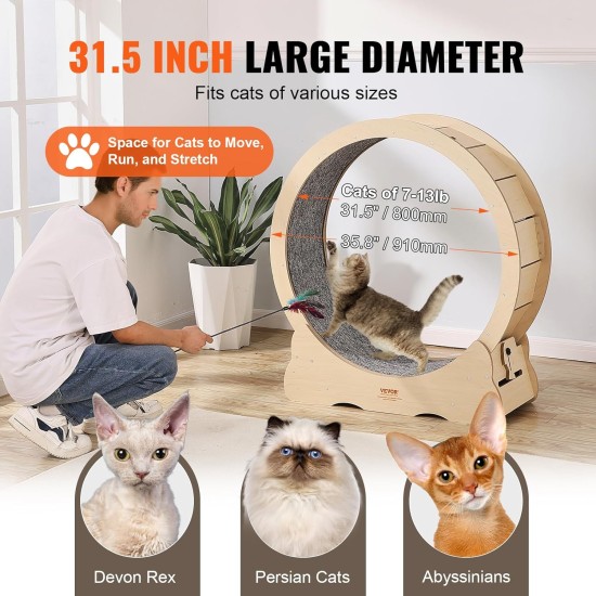VEVOR Cat Running Wheel, Large Cat Treadmill for Domestic Cats, 91 cm Cat Running Wheel with Removable Carpet and Cat Fishing Rod for Running/Walking/Exercising, Suitable for Most Cats up to 6 kg VEVOR Cat Running Wheel, Large Cat Treadmill for Domestic Cats, 91 cm Cat Running Wheel with Removable Carpet and Cat Fishing Rod for Running/Walking/Exercising, Suitable for Most Cats up to 6 kg