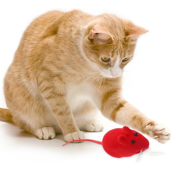 VILLCASE Cat Toy, Pack of 20 Cat Toy, Mice, Cat Toy, Squeaky Cat Mouse Toy, Artificial Vinyl Mice, Kitten Toy, Interactive Toy Mice for Cats VILLCASE Cat Toy, Pack of 20 Cat Toy, Mice, Cat Toy, Squeaky Cat Mouse Toy, Artificial Vinyl Mice, Kitten Toy, Interactive Toy Mice for Cats