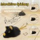 Vealind Cat Toy Electric Toy Mouse Cat Toy Mice Toy for Cat with Moving USB Rechargeable Interactive Toy Mouse (Black) Vealind Cat Toy Electric Toy Mouse Cat Toy Mice Toy for Cat with Moving USB Rechargeable Interactive Toy Mouse (Black)