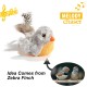 Vealind Electronic Toy for Cats Interactive Cat Toy Bird Mouse with Sound Pack of 2 Vealind Electronic Toy for Cats Interactive Cat Toy Bird Mouse with Sound Pack of 2