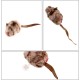 Vealind Electronic Toy for Cats Interactive Cat Toy Bird Mouse with Sound Pack of 2 Vealind Electronic Toy for Cats Interactive Cat Toy Bird Mouse with Sound Pack of 2