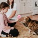 Vonsera Cat Balls, Interactive Cat Toy Ball, Interactive Play Ball with Sound Plush Ball, Cat Ball with Catnip and Lifelike Animal Sounds for Cats Vonsera Cat Balls, Interactive Cat Toy Ball, Interactive Play Ball with Sound Plush Ball, Cat Ball with Catnip and Lifelike Animal Sounds for Cats