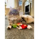 YEOWWW! Pitcher with 30 Kitten Mittens, Catnip Toys for Cats, 30 Pieces, Organic Catnip, Multicolor Cat Toy YEOWWW! Pitcher with 30 Kitten Mittens, Catnip Toys for Cats, 30 Pieces, Organic Catnip, Multicolor Cat Toy