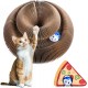 ZOBMIO Kratzbrett für Katzen Käse, Katzenspielzeug, Kratz Donut, Kratzpappe, Pappring, Glockenball,Interaktives Kratzspielzeug für Katzen ZOBMIO Kratzbrett für Katzen Käse, Katzenspielzeug, Kratz Donut, Kratzpappe, Pappring, Glockenball,Interaktives Kratzspielzeug für Katzen