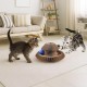 ZOBMIO Kratzbrett für Katzen Käse, Katzenspielzeug, Kratz Donut, Kratzpappe, Pappring, Glockenball,Interaktives Kratzspielzeug für Katzen ZOBMIO Kratzbrett für Katzen Käse, Katzenspielzeug, Kratz Donut, Kratzpappe, Pappring, Glockenball,Interaktives Kratzspielzeug für Katzen