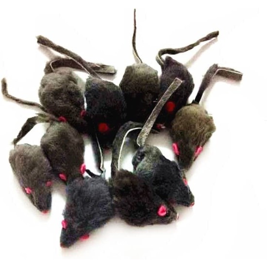 emours Pack of 12 Rattle Furry Mice Cat Toy Realistic Fur Mice Squeaky Toy, Colour Varies emours Pack of 12 Rattle Furry Mice Cat Toy Realistic Fur Mice Squeaky Toy, Colour Varies