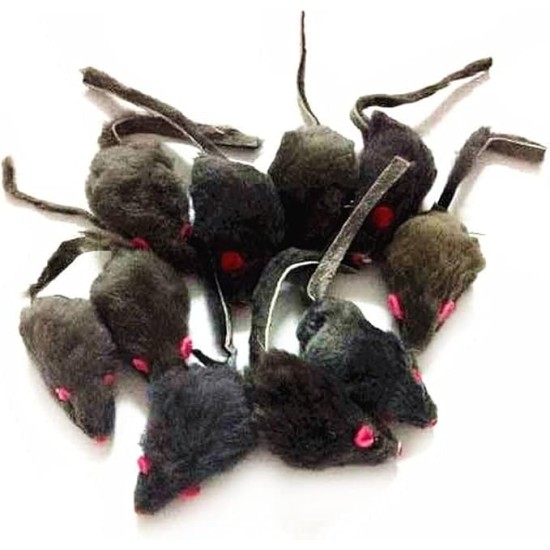 emours Pack of 12 Rattle Furry Mice Cat Toy Realistic Fur Mice Squeaky Toy, Colour Varies emours Pack of 12 Rattle Furry Mice Cat Toy Realistic Fur Mice Squeaky Toy, Colour Varies