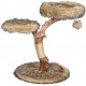 Designer Scratching Tree Post with Natural Trunks and Play Balls, Cat Furniture with Jute Scratching Posts and Plush Lying Areas Designer Scratching Tree Post with Natural Trunks and Play Balls, Cat Furniture with Jute Scratching Posts and Plush Lying Areas